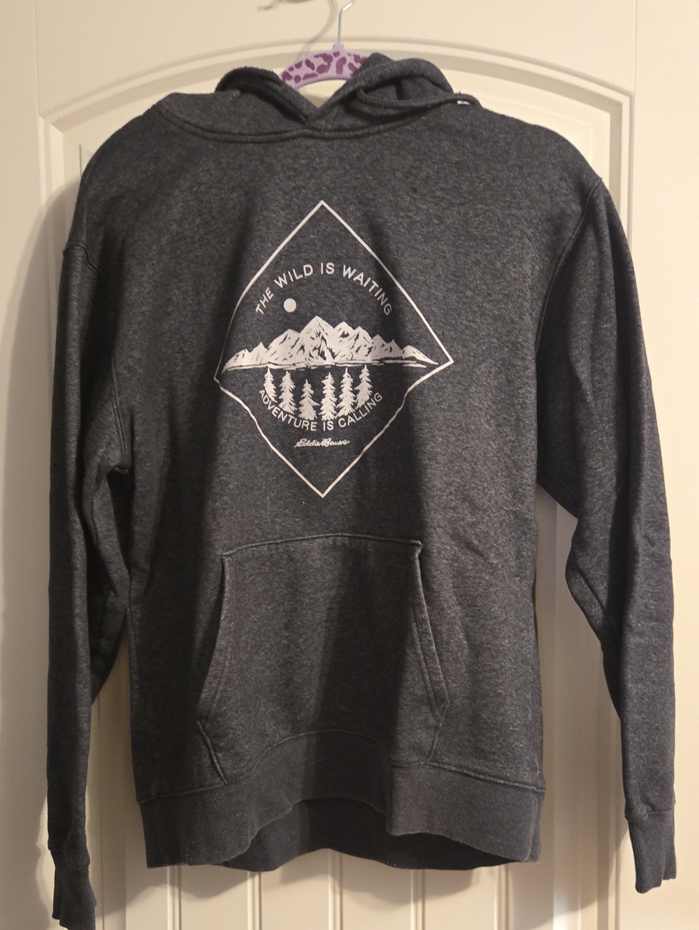 Eddie Bauer Dark Gray Graphic Hooded Sweatshirt
